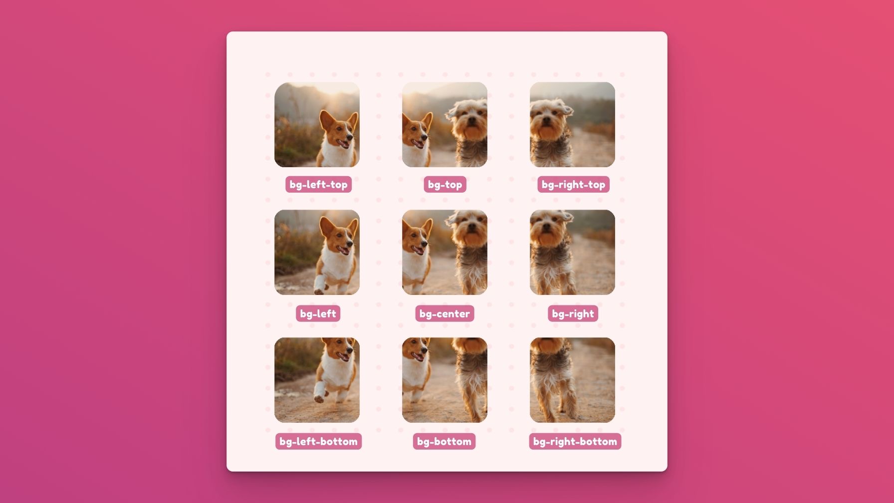 Example of background position utility